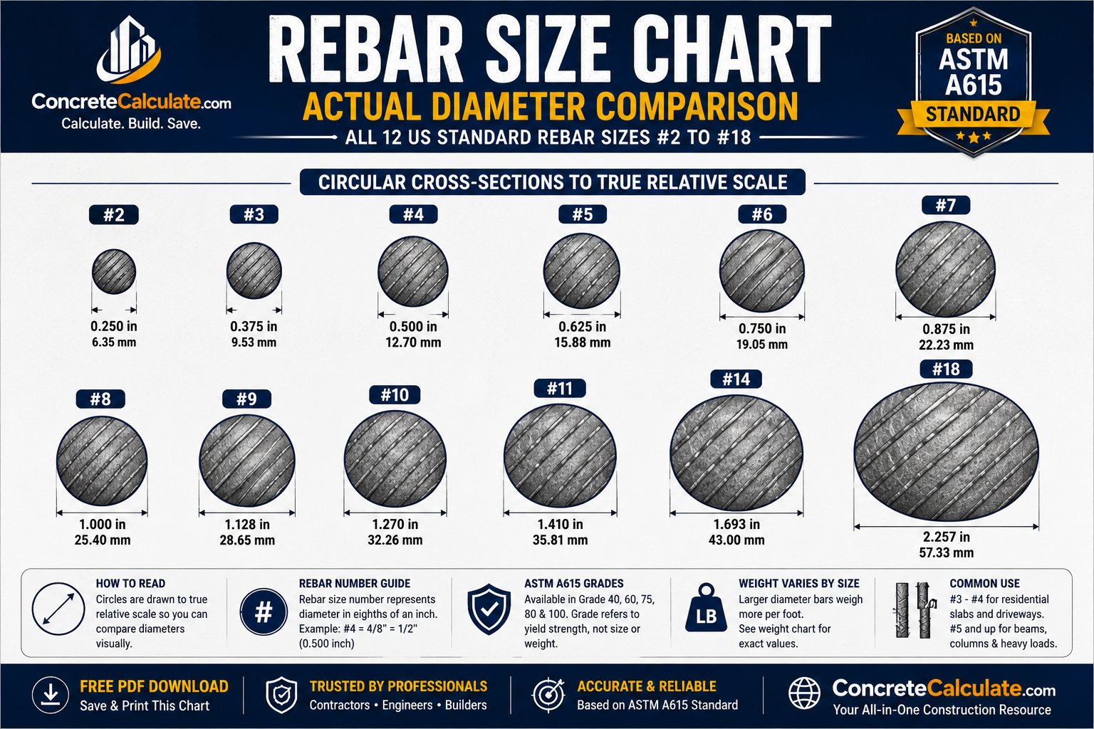 Rebar Size Chart showing #2 to #18 bars at true relative scale